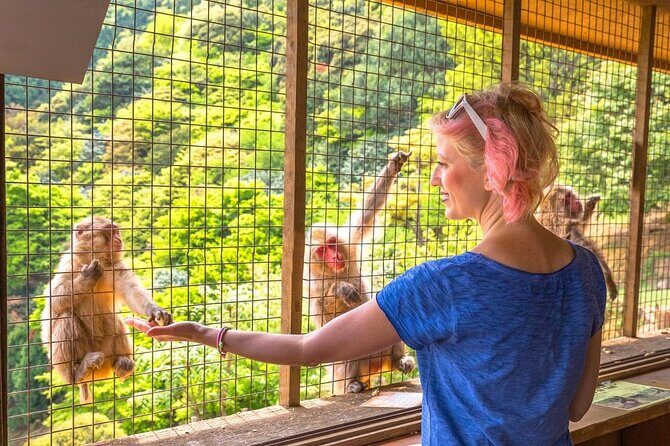 1-Day Private Snow Monkey ZenkoJi Temple & SakeTasting NaganoTour - Who Will Love This Tour?