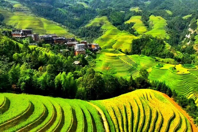 1 day private tour: Longji rice terraces & Huang Luo Yao villages - Authentic Experiences and Guided Insights