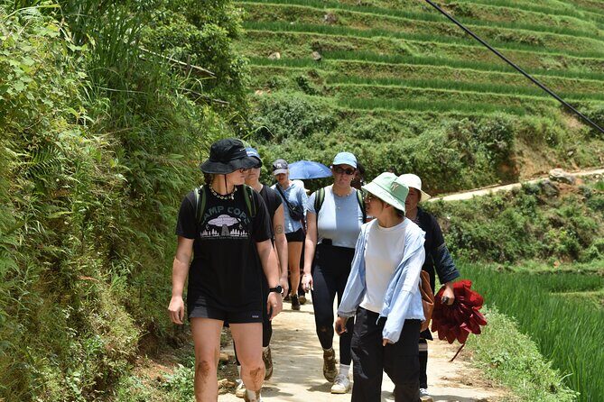 1-Day Private Trekking in Sapa through Terraces Rice Fields - Who Will Enjoy This Tour?