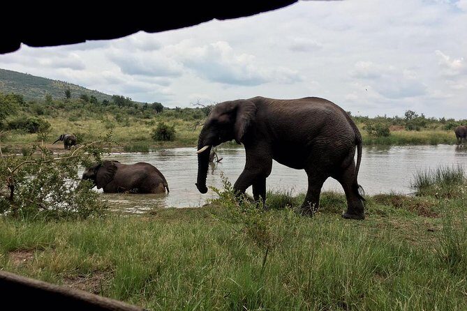 1 Day Safari from Johannesburg - Who Will Appreciate This Tour?