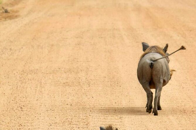 1. Day safaris to Mikumi by Train from dar es salaam - The Itinerary in Detail