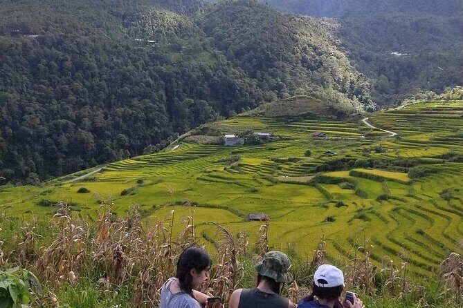 1 Day Sapa Authentic Trekking ( off beaten track ) - The Experience and Its Value