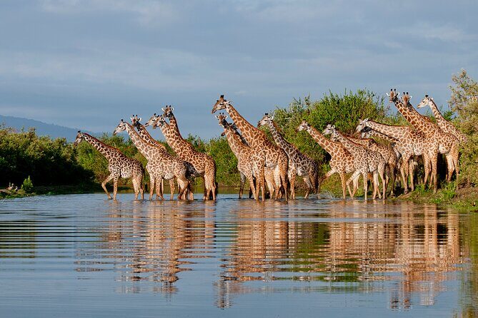 1-Day Selous (Nyerere National Park) Fly-In Safari from Zanzibar - Why This Safari Is Worth It