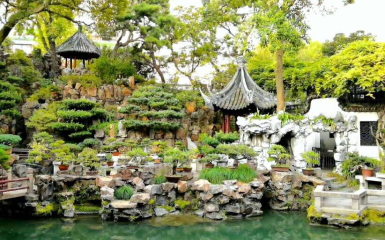 1-Day Shanghai Layover Tour - Exploring Shanghai’s Historic and Modern Sides