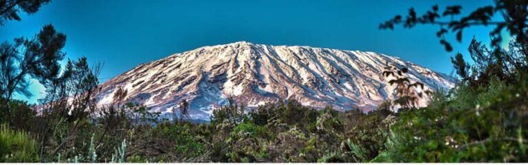 1-Day Shira Plateau, Kilimanjaro Hiking - Highlights and Why They Matter