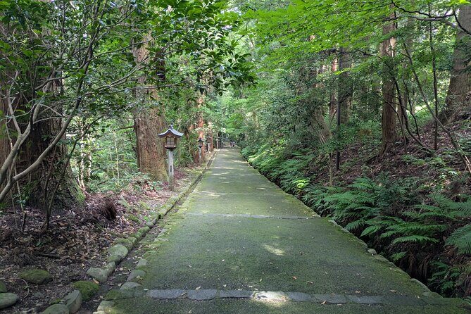 1 Day Tour from Kanazawa Tedori Gorge White Road and Shirakawa Go - Why Travelers Rate This Tour a Perfect 5