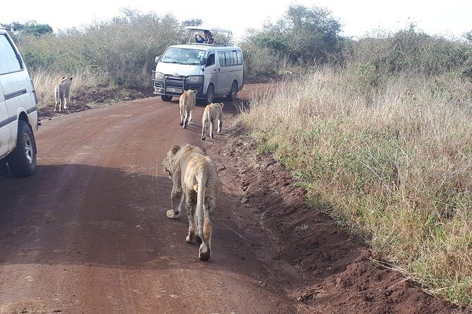 1 Day Tour Nairobi National Park,Giraffe Center&Karen Blixen - Frequently Asked Questions