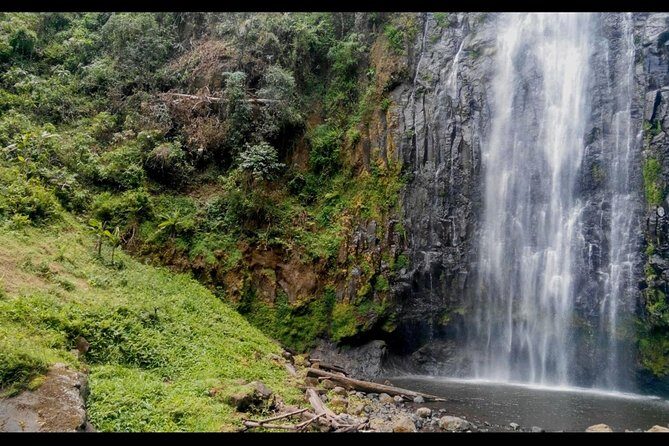 1 Day Tour to Materuni Waterfalls and Coffee Tour - Summary