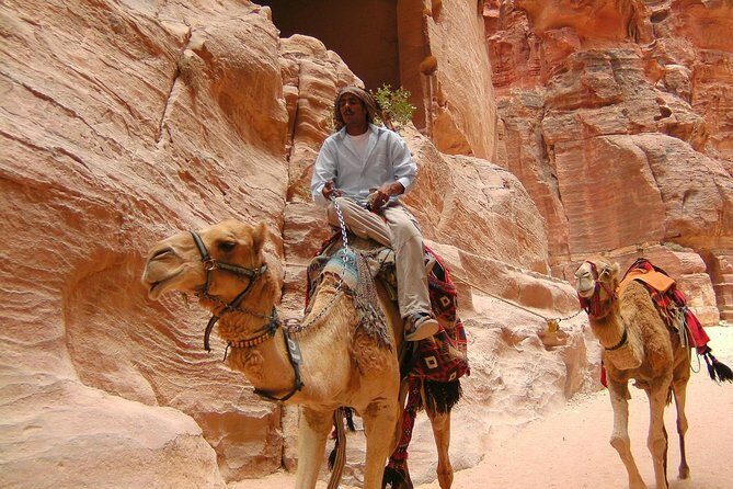 1 Day Tour to Petra From Sharm-el-Sheikh - Is This Tour Worth the Cost?