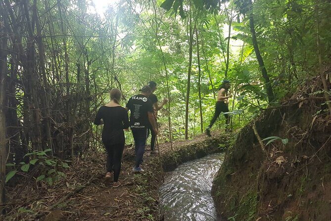 1 Day Trekking in Chiang Mai - Why Choose This Tour?