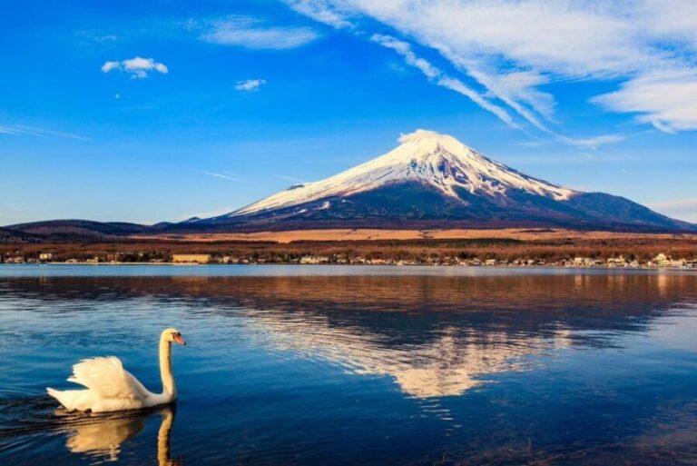 1-Day trip: Mt Fuji + Kawaguchi Lake area - Who Will Love This Tour?