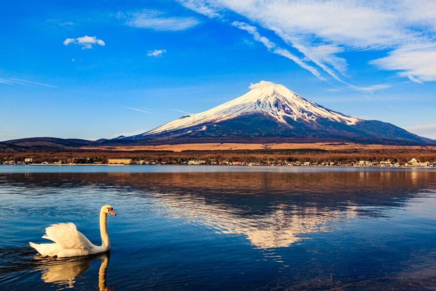 1-Day trip: Mt Fuji + Kawaguchi Lake area - Who Will Love This Tour?