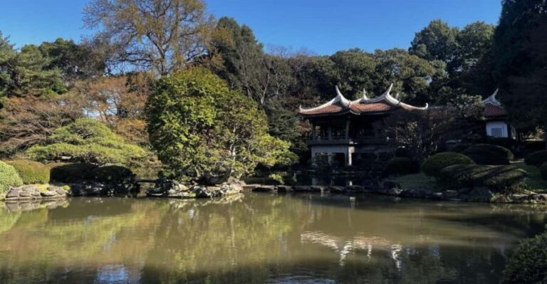 1 Day Walking Tour in Shinjuku and Shibuya: The Best of Both - Practical Details: What You Need to Know