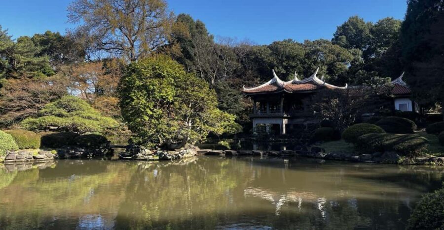 1 Day Walking Tour in Shinjuku and Shibuya: The Best of Both - Practical Details: What You Need to Know