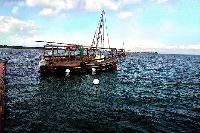 1 day wasini island ( Kisite Marine park) - The Guide and Personal Touches