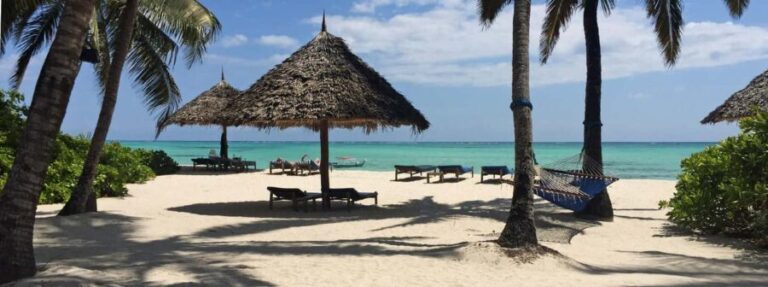 1 Day: Zanzibar trip to Spice and Forest - What’s Included and What’s Not