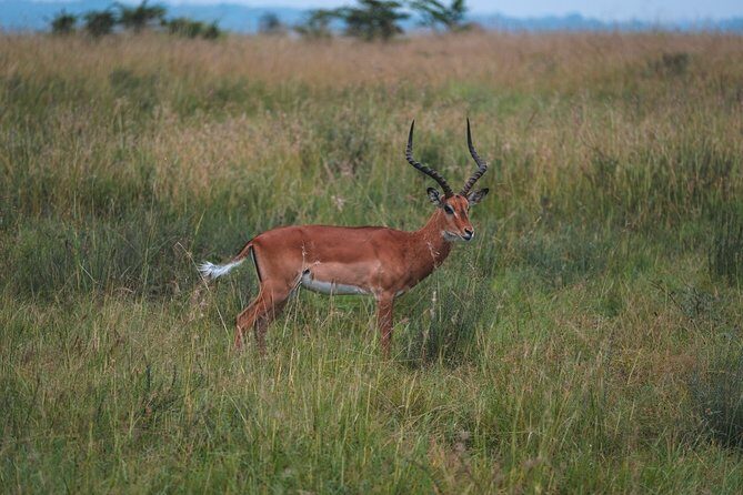 1 days Tanzania Sharing Joining group Safari - Ngorongoro Crater - The Experience and What You’ll Love