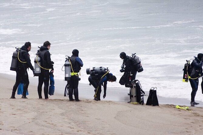 1-Hour Beach Diving Experience with Transfer from Sharm El Sheikh - The Equipment and Safety