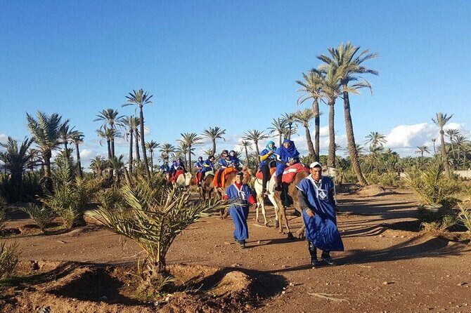 1-Hour Camel Ride and 1-Hour Quad Bike Ride in Marrakech. - Authenticity and Practical Tips