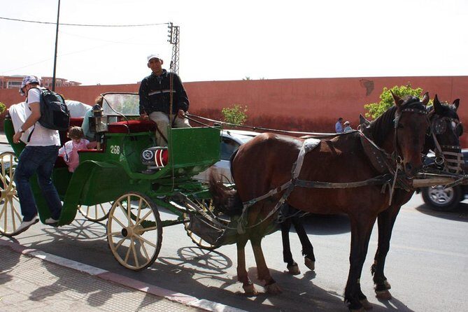 1-Hour Horse Carriage Drawn Marrakech City Tour - Final Thoughts: Is It Worth It?