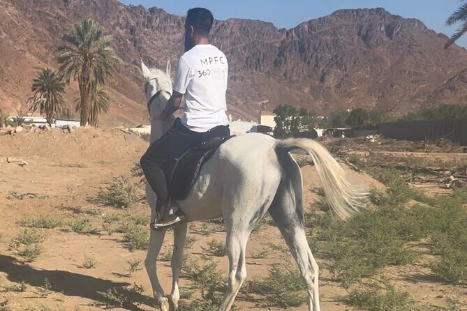 1 Hour Private Horse Riding in Madinah - Who Will This Tour Suit?