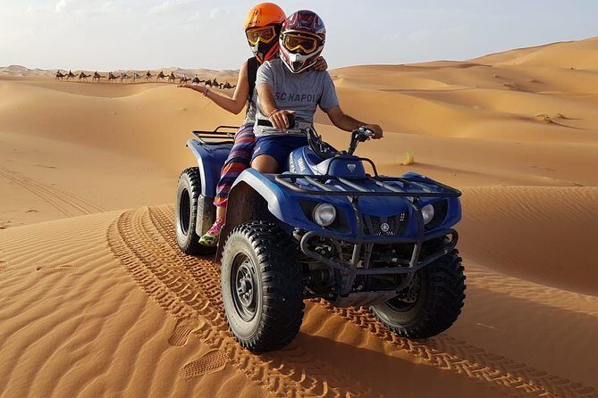 1 hour Quad in the Sahara: Merzouga Off Roading Experience: Nature & Wildlife - The Value of This Experience