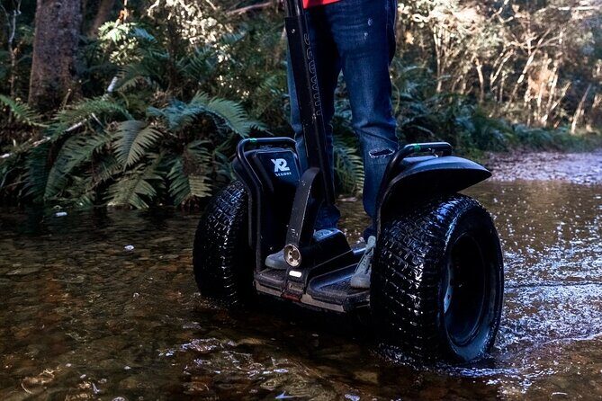 1 Hour Segway Experience - The Practical Details: What to Expect