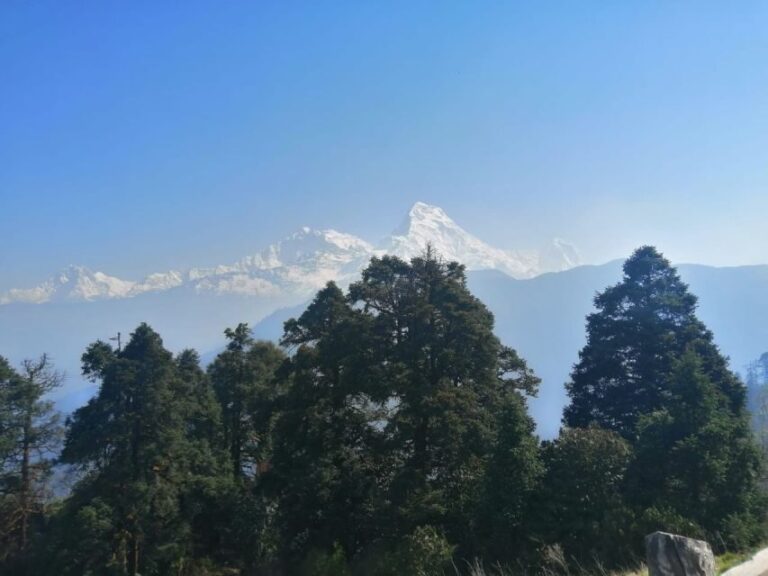 1 Night 2 days Poon hill trek from pokhara - What’s Included and What’s Not