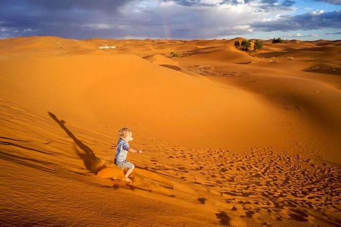1 Night All inclusive Camel Ride & Desert Camp - What Travelers Love Most