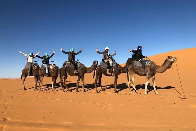 1 Night Camel Trekking Tour in Merzouga Desert Camp - A Detailed Look at the Merzouga Camel Trekking Tour