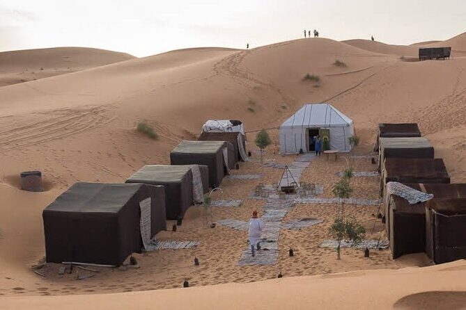 1 night Merzouga camel Trekking - Authentic Experiences and Traveler Feedback