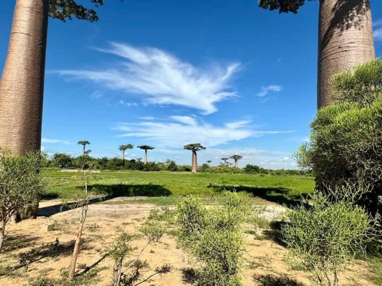 10-Day Madagascar Uniqueness Discovery - What You Should Know Before Booking