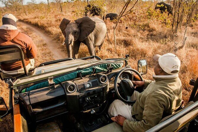 10 Day South Africa Tour- Johannesburg- Kruger Park - Durban - Cape Town - Wildlife & Coastal Wonders: Port Alfred, Addo, and the Garden Route