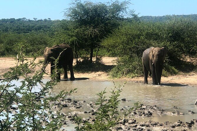 10-Day Tour to Kruger/Hluhluwe-iMfolozi & Everything In Between - Days 2-3: Nature’s Masterpieces in Blyde River Canyon