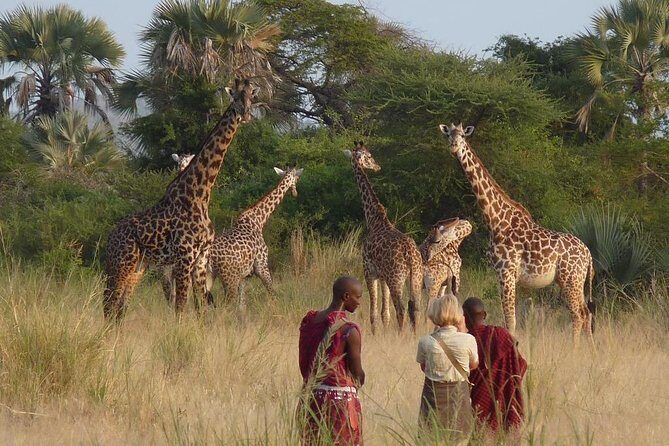10 Days / 9 Nights Join group safari - What Makes This Tour Special?