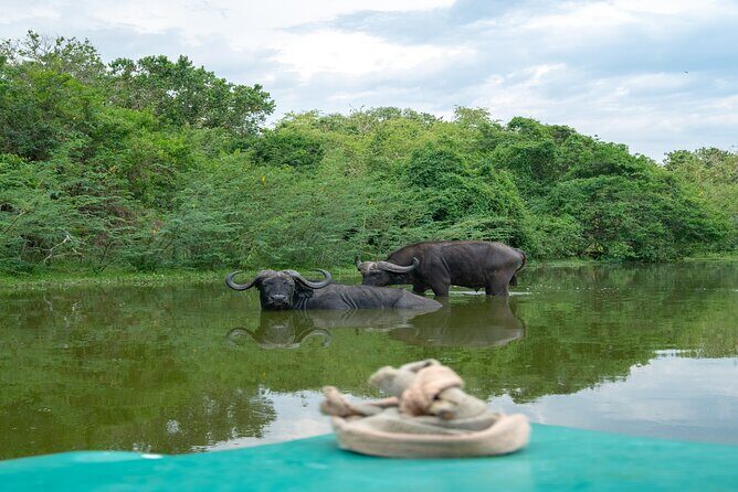 10 Days Affordable Gorilla Trekking Holiday - The Itinerary in Detail: What to Expect