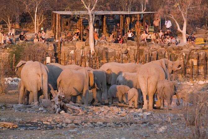 10 DAYS BEAUTY OF NAMIBIA | Guided Lodge - Cultural Immersion with the Himba and Damara
