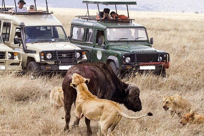 10-Days Kenya Wildlife Private Safari and Mombasa Diani Beach Holidays - Practical Details and What They Mean for You