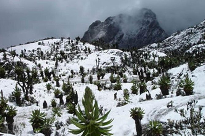 10 Days Mountain Rwenzori Hiking Safari Mahoma Trail - The Sum Up: Who Is This Tour Best For?
