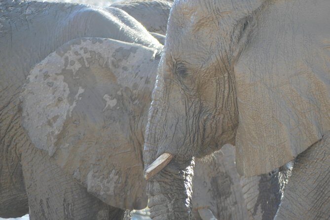 10 Namibia Adventures - What Does This Tour Mean for You?