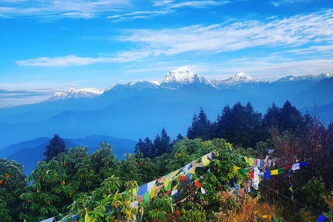 11-Day Hike Tour to Annapurna Base Camp Bliss in Kathmandu - What Makes This Trek Special?