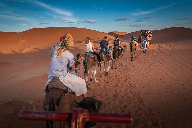 11 Day Private Tour to Imperial City and Desert from Marrakech - Who Will Love This Tour?