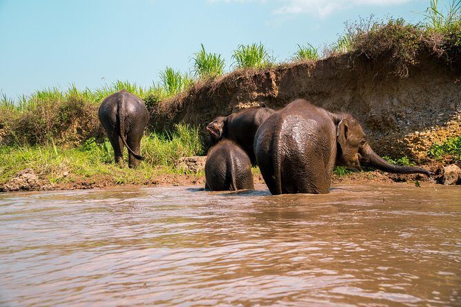 11 Day Tuk Tuk Adventure in Northern Thailand - Authentic Reviews from Past Travelers