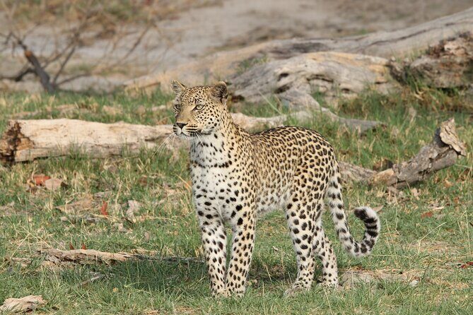 11 Days and 10 Nights Private Northern Explorer Tour - What Does It All Mean for You?