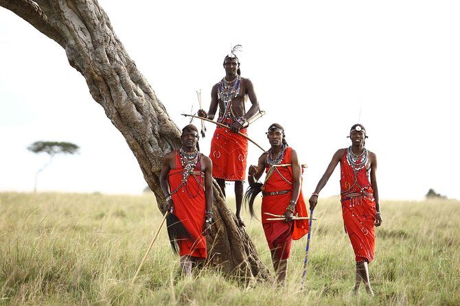 11-Days Best of Kenya & Tanzania Big 5 Safari on a 4x4 Jeep - Why This Tour Offers Good Value