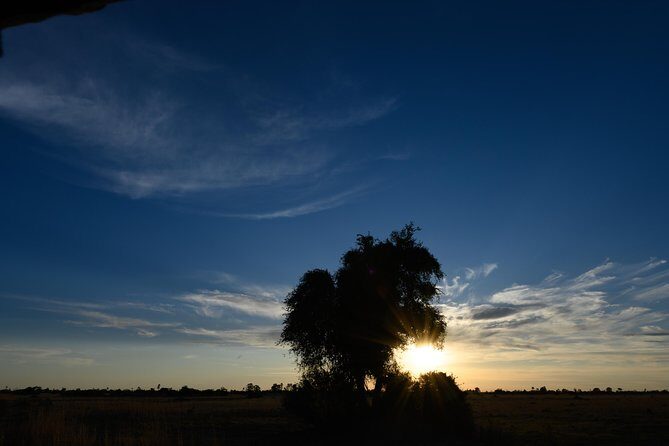 11 Days Botswana's Great Safari Experience - The Practicalities: What You Need to Know