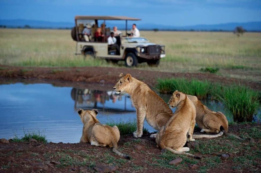 11 Days Tanzania Big Five Wildlife Safari and Zanzibar Beach - What This Tour Means for You