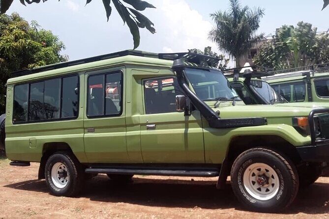 12-Day Moderately Priced Pearl of Africa - Uganda Private Safari - Authentic Feedback from Past Travelers