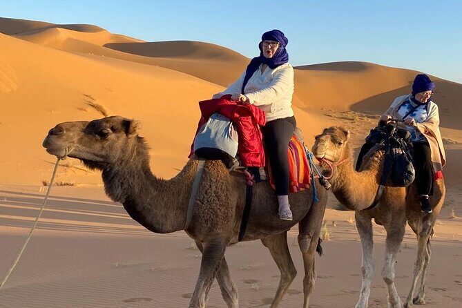 12-Day Private Tour in Morocco with Food and Wine - Who Is This Tour Best For?
