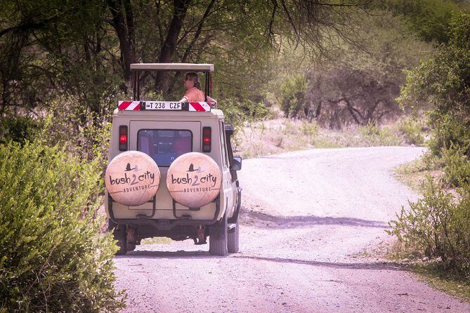 12 Days Best Of Kenya and Tanzania Safari - Luxury - Transition to Serengeti and the Great Migration